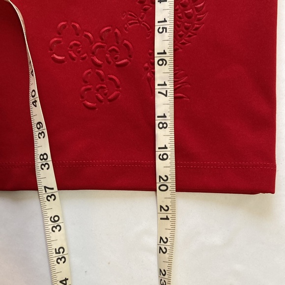 Vintage DRAGON  Embedded Red Skirt ~ Well Detailed Dragon Skirt pre~loved - Picture 8 of 11